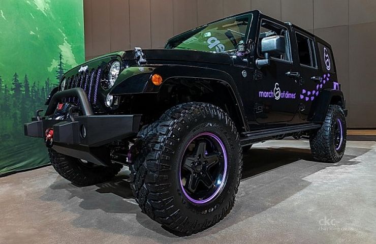 March of Dimes JAM Werx Jeep