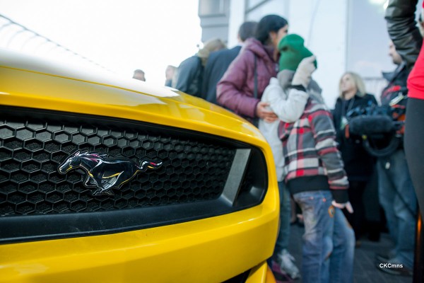 Ford Mustang celebrates 50th anniversary atop Empire State Building