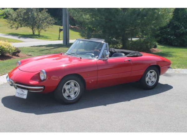 1967 alfa romeo duetto spider
