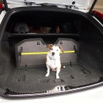 2014 Volvo XC60 rear cargo area