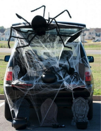 spider surprise