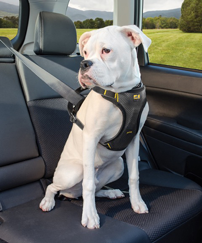 A pet harness needs to tie into the vehicle’s seat-belt system.