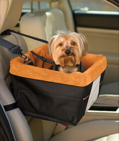 A booster seat keeps a pet calm by providing a clear view outside.