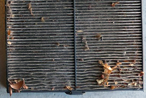 A clean cabin filter will make sure your car stays warm.