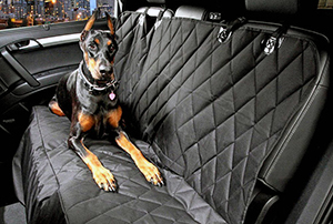 Dog Seat Cover