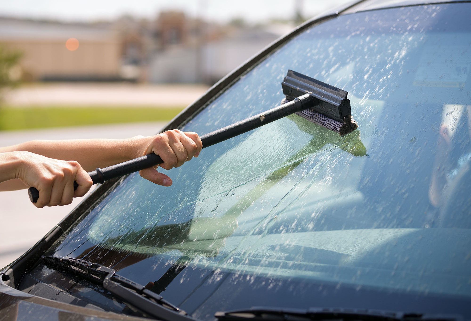 Cleaning dried dead insects off windshield