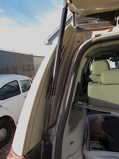 Trunk strut