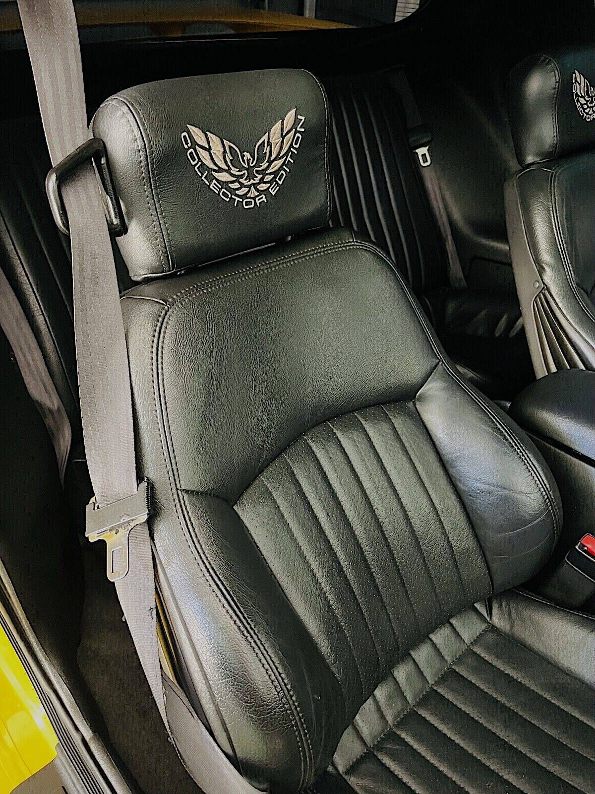 Collector Edition headrest