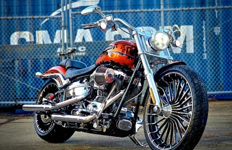 Ebay harley softail store