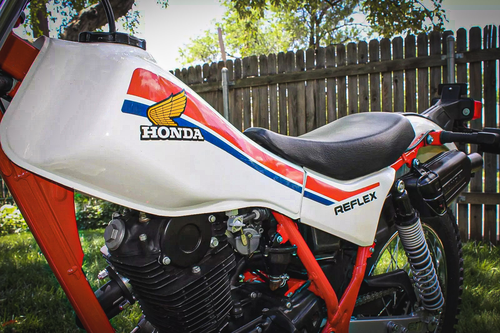Is This Immaculate Honda TLR200 Too Nice to Ride? - eBay