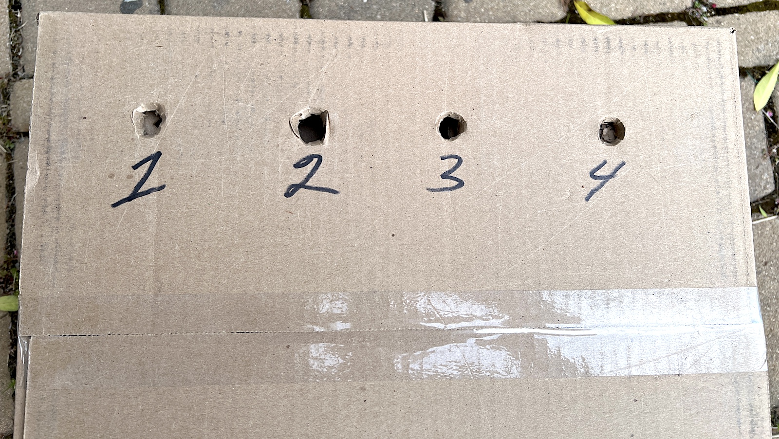 Cardboard box with four numbered holes
