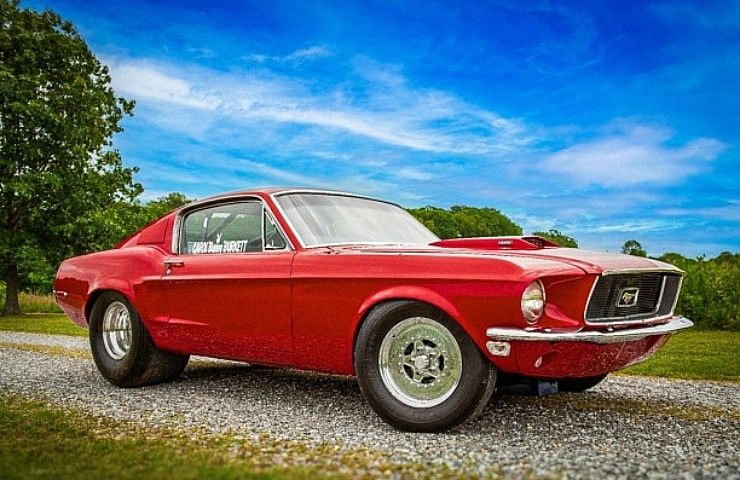 Bunny Burkett's Cotton Pony Mustang right front profile