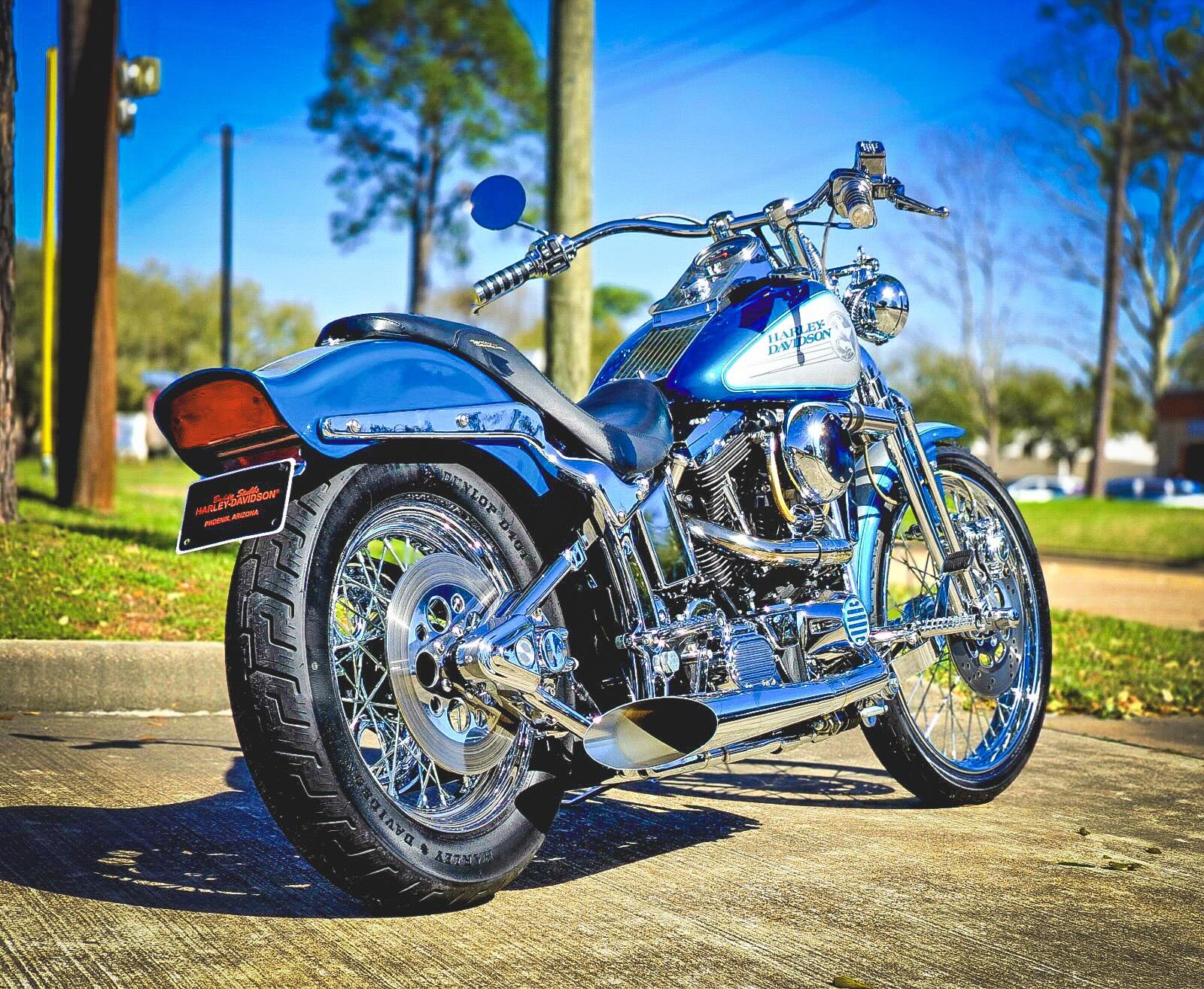 A Harley Turbo Softail Built by a Legendary Rider - eBay